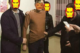 金寨讨账公司哪家好？揭秘优质讨账服务的选择标准