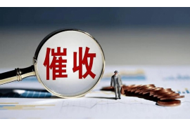 /img/259.png/img/259.png律师如何面对催收：专业应对策略与案例分析/img/259.png