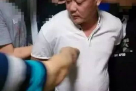  怎么立即停止催收电话？