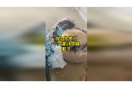 追讨债务的工作怎么样？挑战与机遇并存