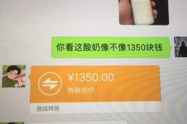 /img/885.png/img/885.png上海浦东讨债公司：专业解决债务难题，守护您的权益/img/885.png